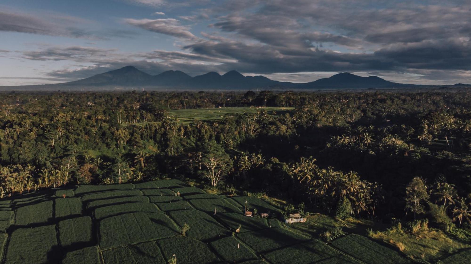 Ipian Cinta By Pramana Villas Убуд Экстерьер фото