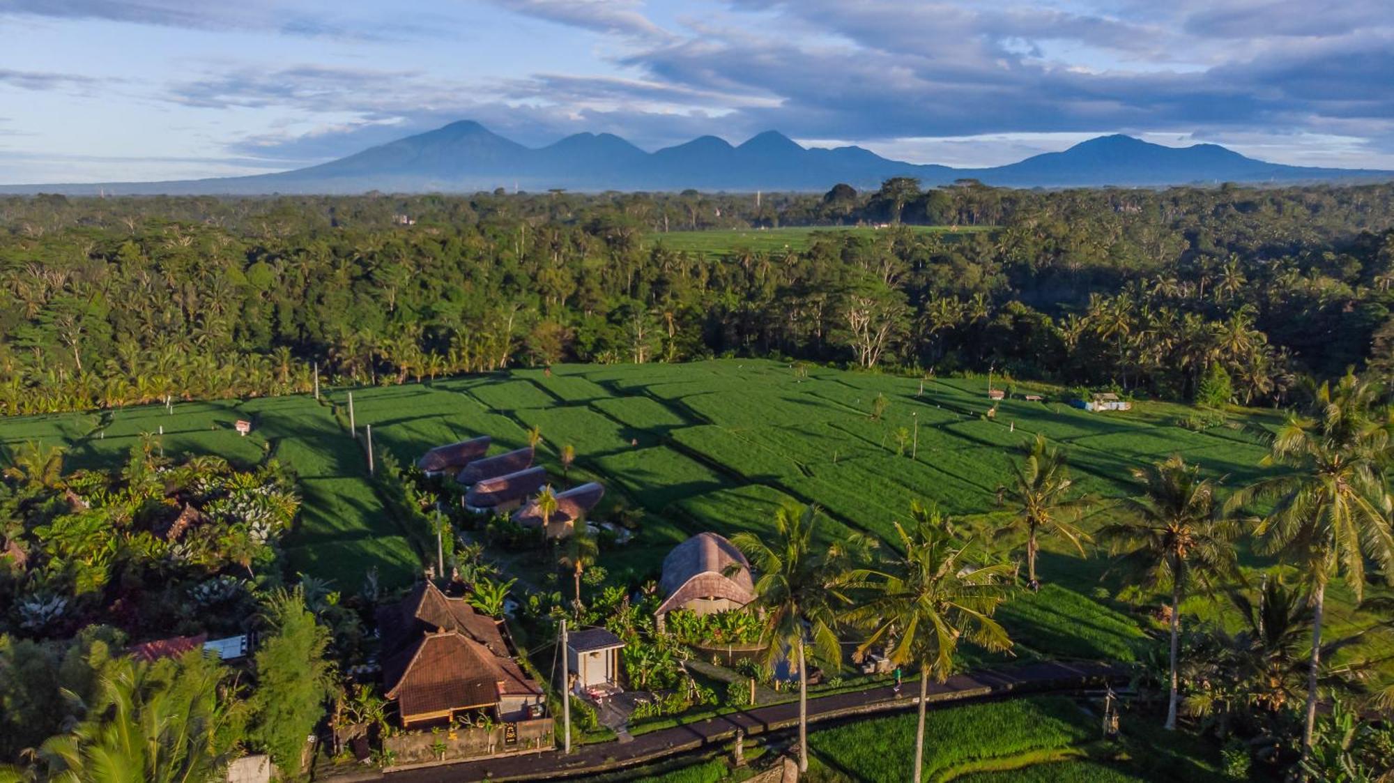 Ipian Cinta By Pramana Villas Убуд Экстерьер фото