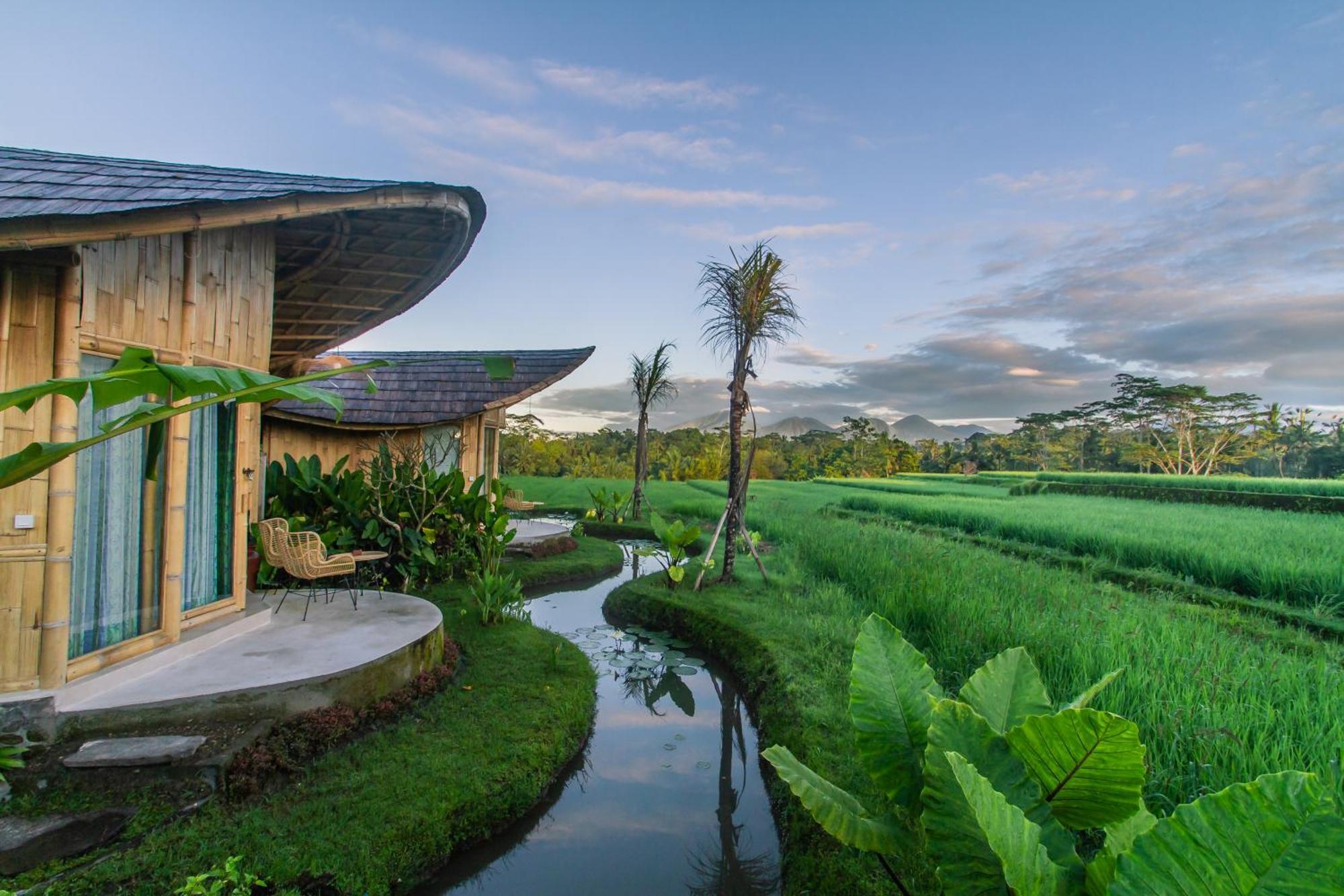 Ipian Cinta By Pramana Villas Убуд Экстерьер фото